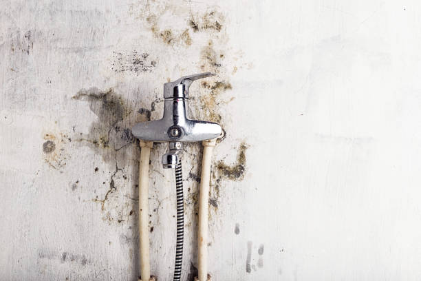 Best Mold Testing  in Sinton, TX