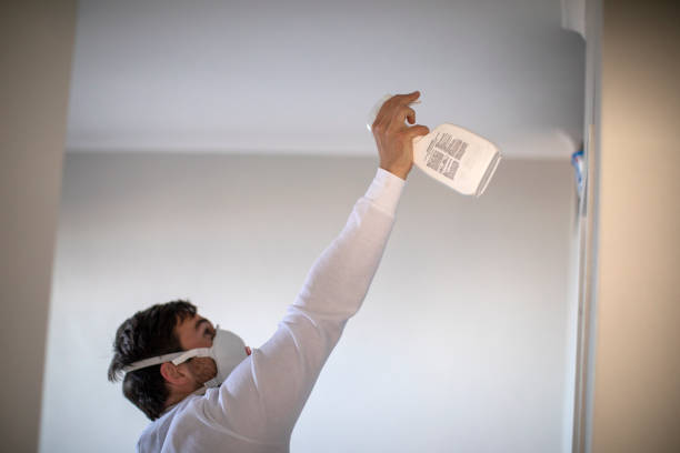Attic Mold Removal in Sinton, TX