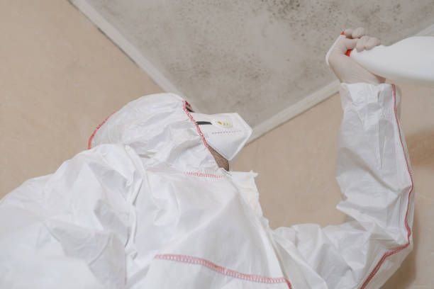 Best Toxic Mold Removal  in Sinton, TX