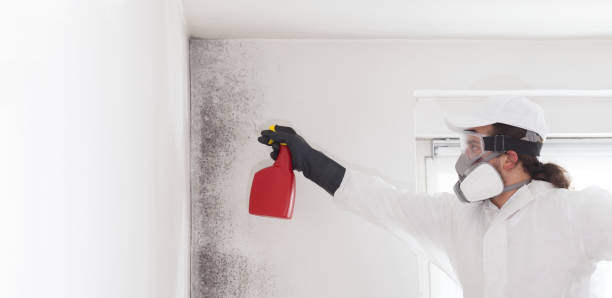 Water Damage Restoration in Sinton, TX
