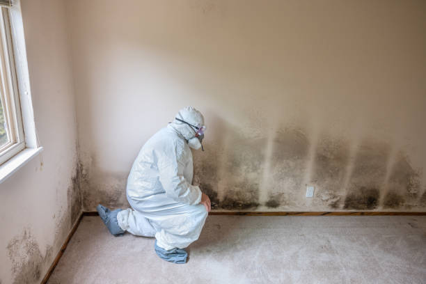 Best Residential Mold Removal  in Sinton, TX